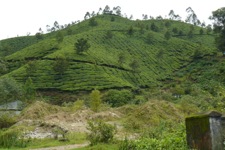 A random picture of India.