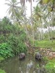 A random picture of India.