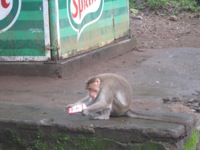 A random picture of India.