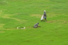 A random picture of India.