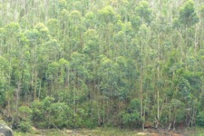 A random picture of India.