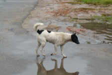 A random picture of India.