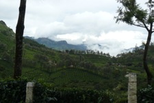 A random picture of India.